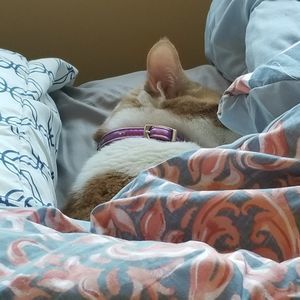 Meet your Posher, Nora